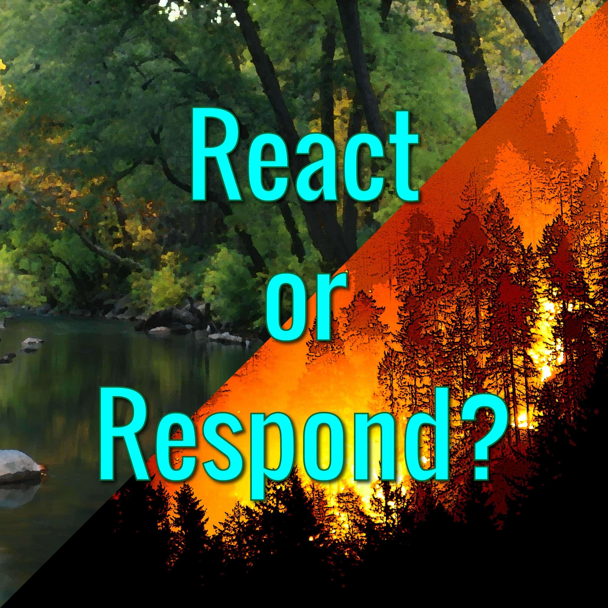 React or Respond? React or Respond?
