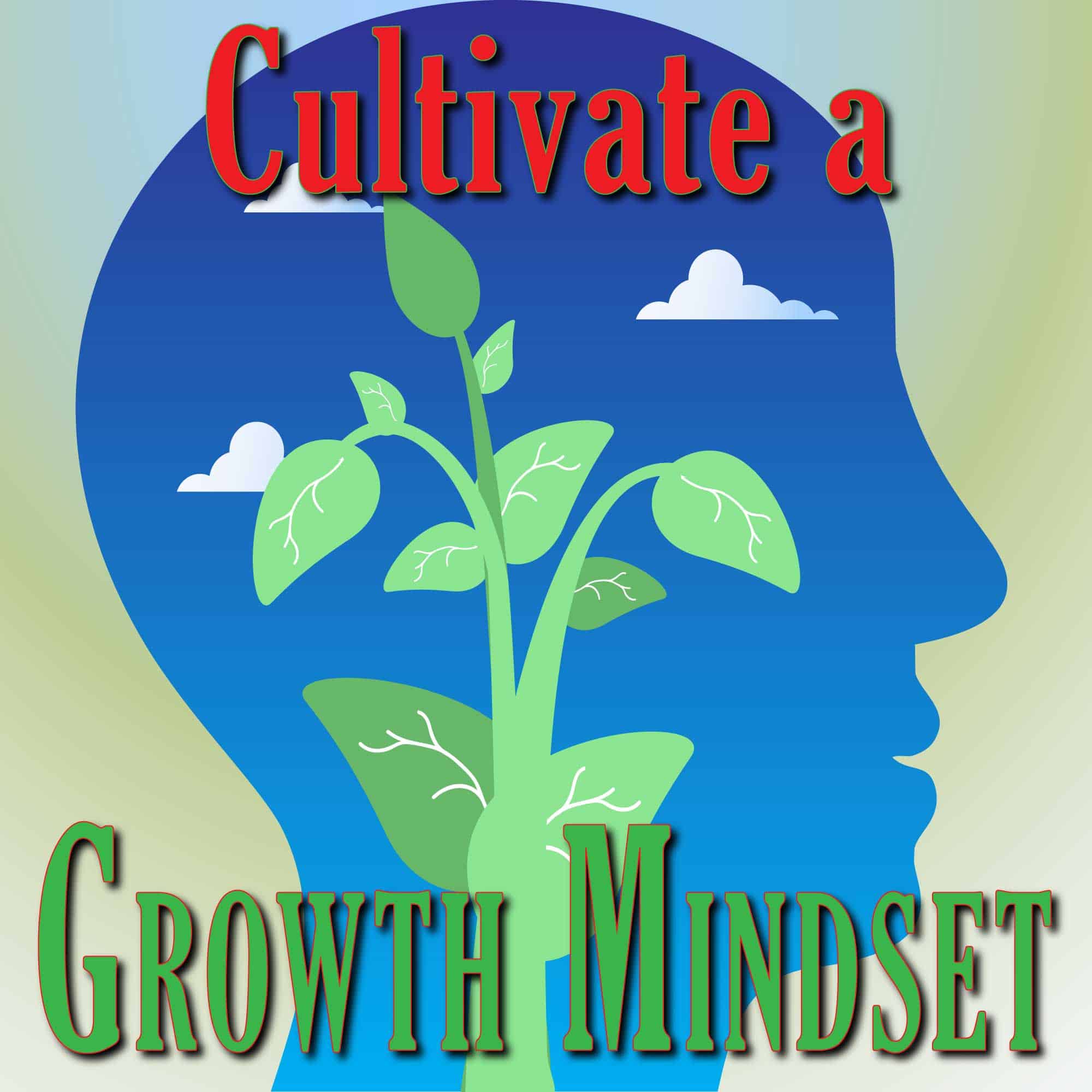 Cultivate a Growth Mindset - Life Mastery Wisdom